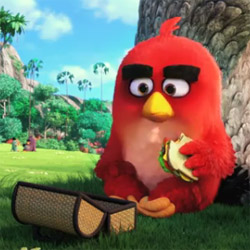  !   Angry Birds  !